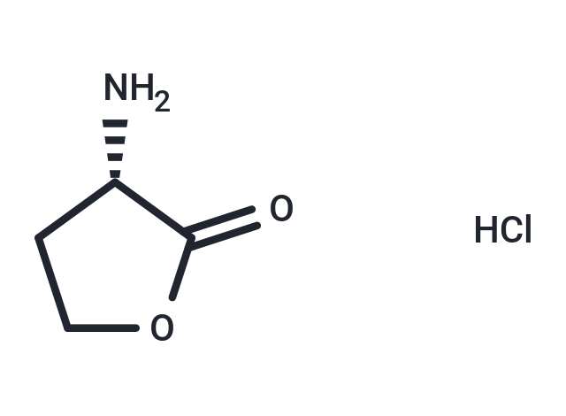 L-Homoserine lactone (hydrochloride)