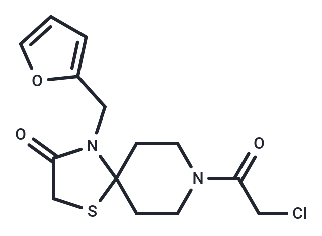 ZL-Pin01