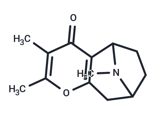 Darlingine