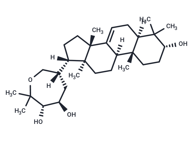 Sapelin B