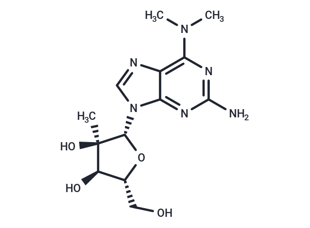 2’-b-C-Methyl-2-amino-N6,N6-dimethyladenosine