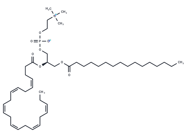 Palmitoyldocosahexaenoyl phosphatidylcholine