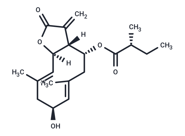 2I<<-Hydroxy-8EC-(2-methylbutyryloxy)costunolide