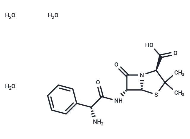 Ampicillin Trihydrate