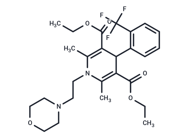 Flordipine