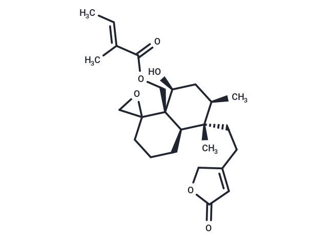 Ajugamarin L2