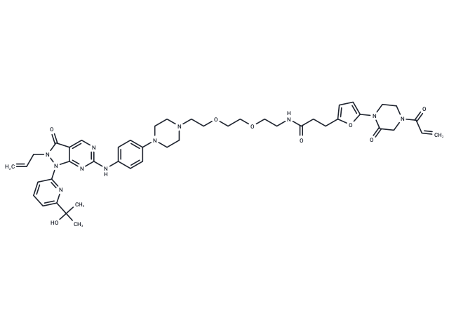 LEB-03-146