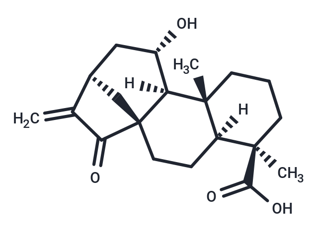 ent-11alpha-Hydroxy-15-oxokaur-16-en-19-oic acid