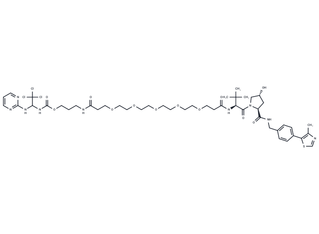 CP5V