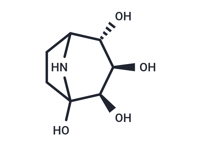 Calystegine B2