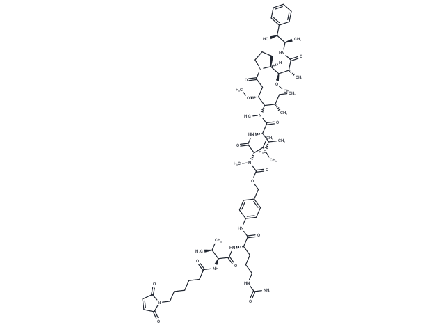 VCMMAE