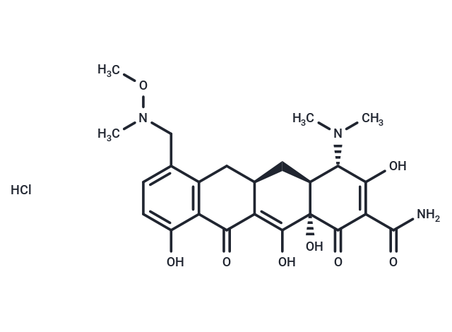 Sarecycline hydrochloride