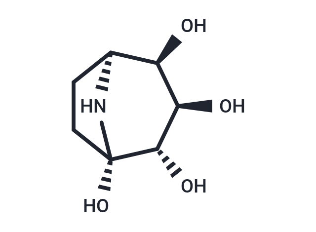 Calystegine B4