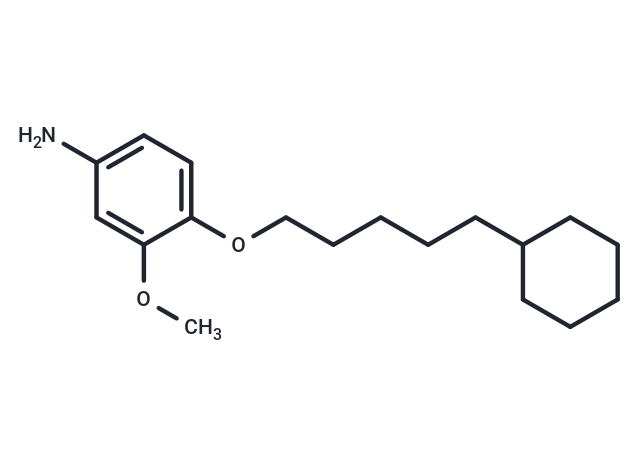 m-Anisidine, 4-((5-cyclohexylpentyl)oxy)-