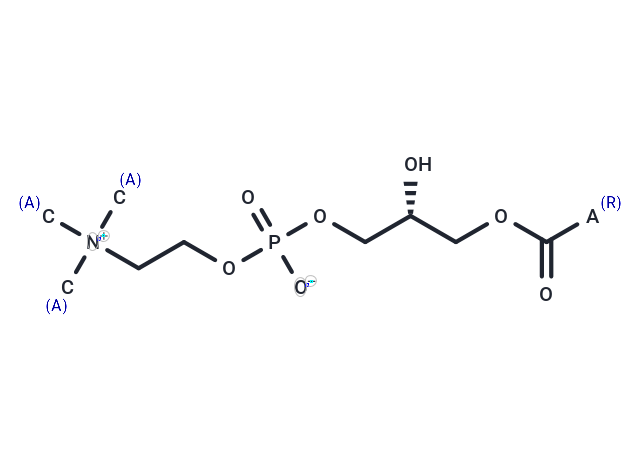 Lysophosphatidylcholines