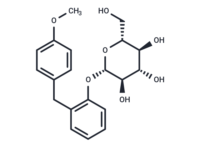 Sergliflozin A