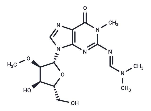 N2-[(N,N-Dimethyl)amino]methylene-N1-methyl-2'-O-Methyl   guanosine