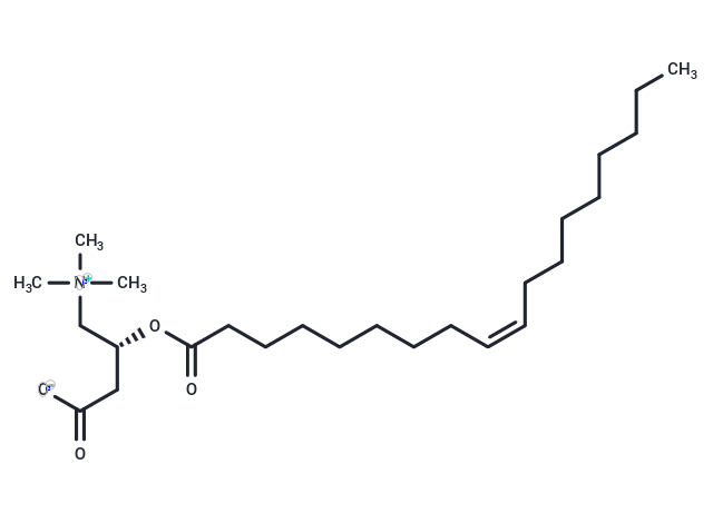 Oleoylcarnitine