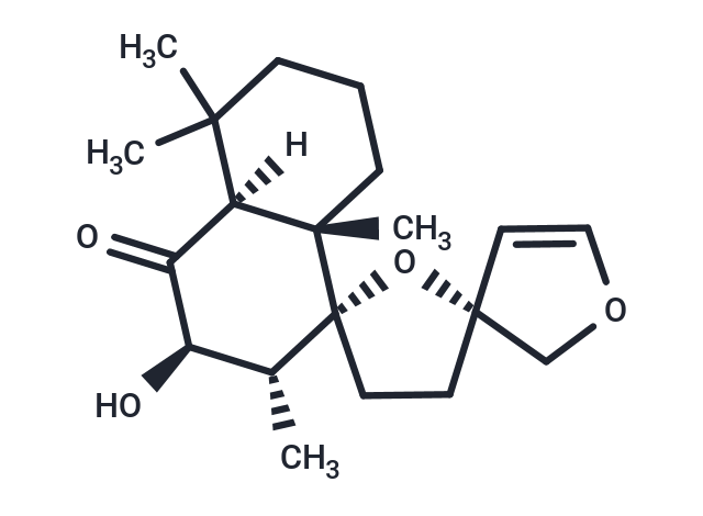 Preleoheterin