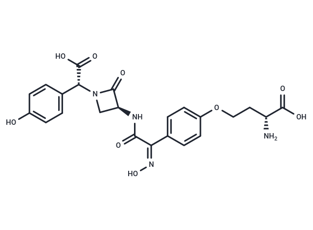 Nocardicin A