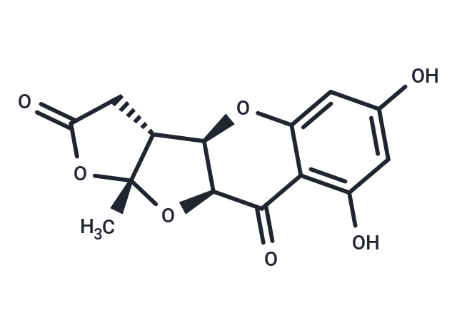 Planchol E