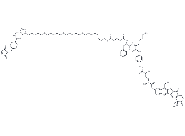 CL2E-SN38