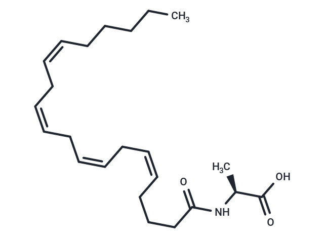 N-Arachidonoyl-L-Alanine