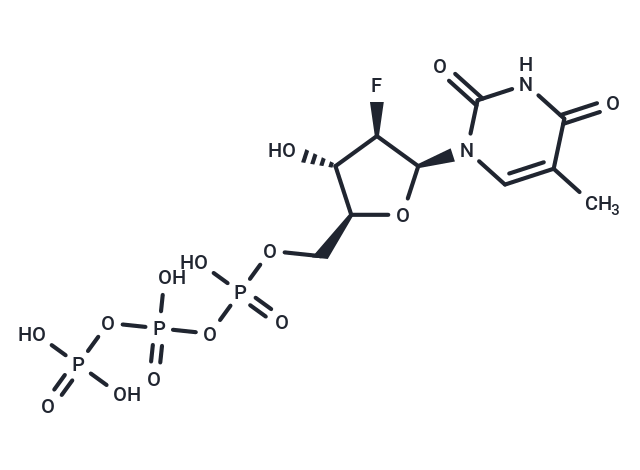 Clevudine triphosphate