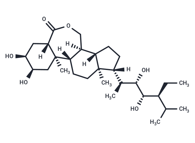 (22S,23S)-Homobrassinolide