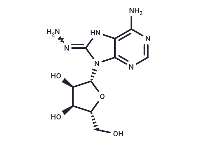 8-Hydrazinoadenosine