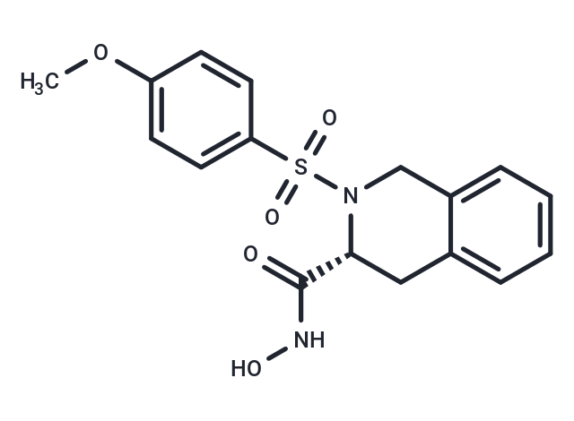 MMP-8 Inhibitor I