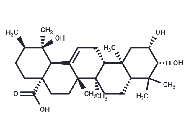 2-Epitormentic acid