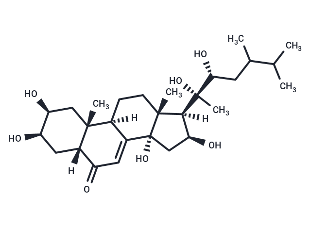 Polyporoid C