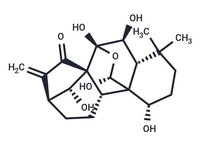 Hebeirubescensin H