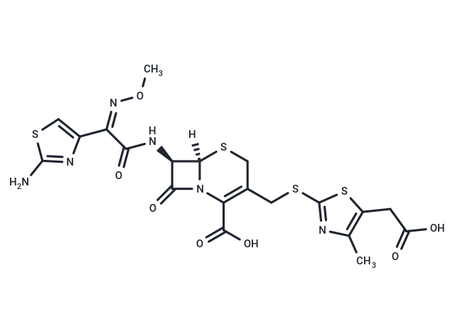 Cefodizime