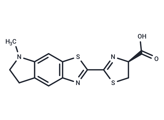 CycLuc2