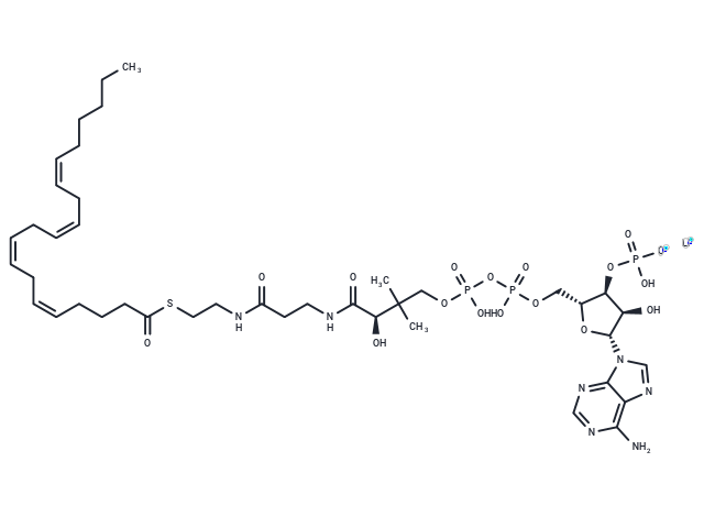 Arachidonoyl coenzyme A lithium