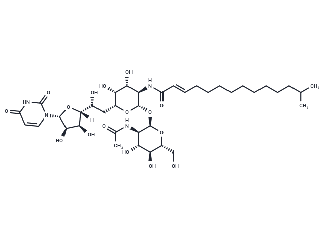 Tunicamycin V