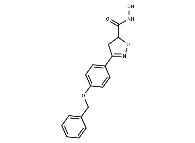 CA-IN-5g