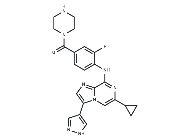 PTK6-IN-21b