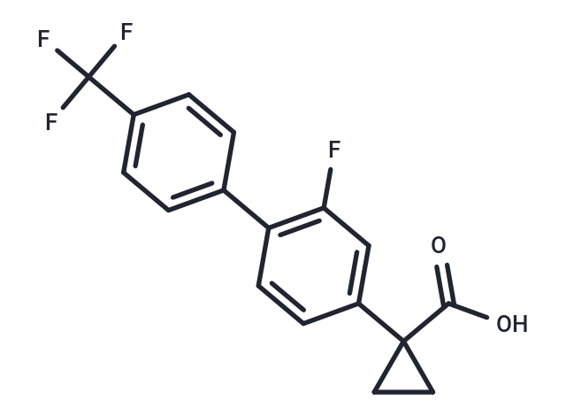 CHF-5022