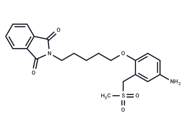 Phthalimide, N-(5-(4-amino-alpha-(methylsulfonyl)-o-tolyloxy)pentyl)-