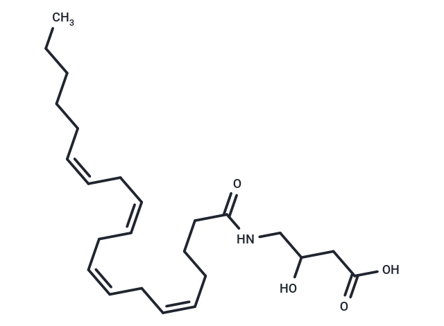 N-Arachidonoyl-3-hydroxy-γ-Aminobutyric Acid