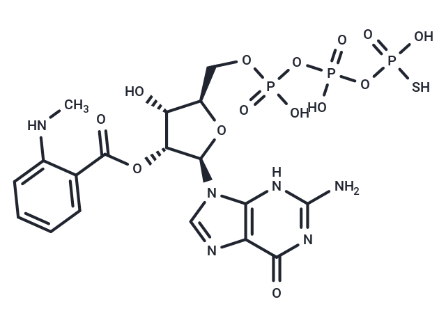 Mant-GTPγS