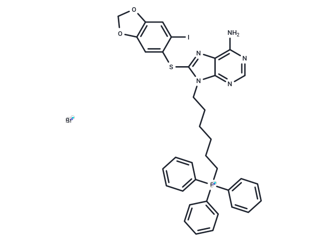 SMTIN-P01