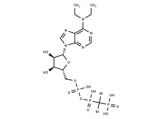 ARL-67156 trisodium salt hydrate