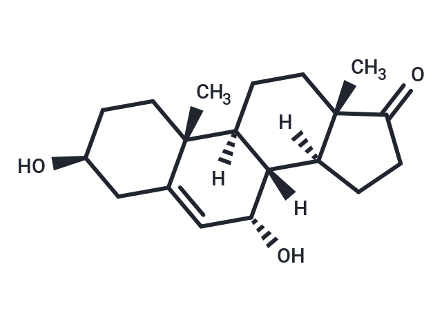 7α-hydroxy Dehydroepiandrosterone