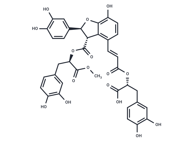 9''-Methyl salvianolate B