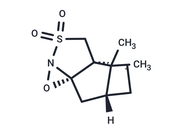 (1S)-(+)-(10-Camphorsulfonyl)oxaziridine