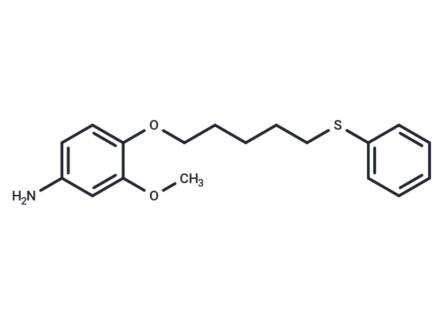 m-Anisidine, 4-((5-(phenylthio)pentyl)oxy)-